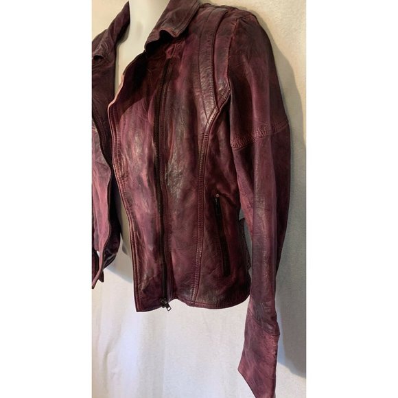 NWT Sold Out Import Joe Browns Purple Distressed - Picture 4 of 12
